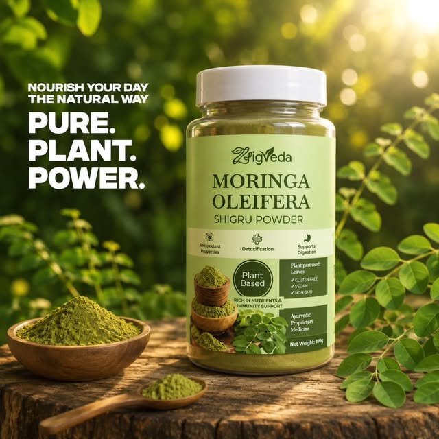 Zigveda Moringa Oleifera Shigru powder in a botanical setting