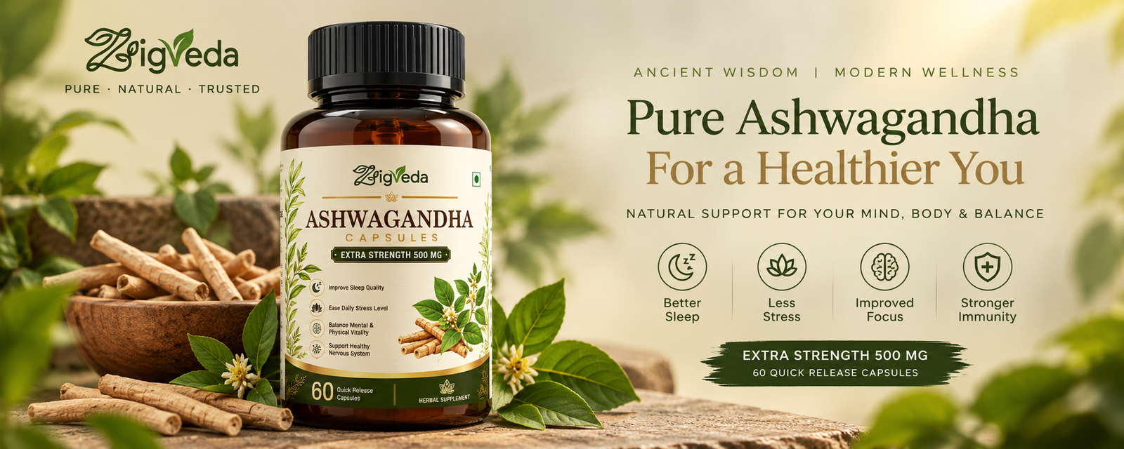 Zigveda wellness banner
